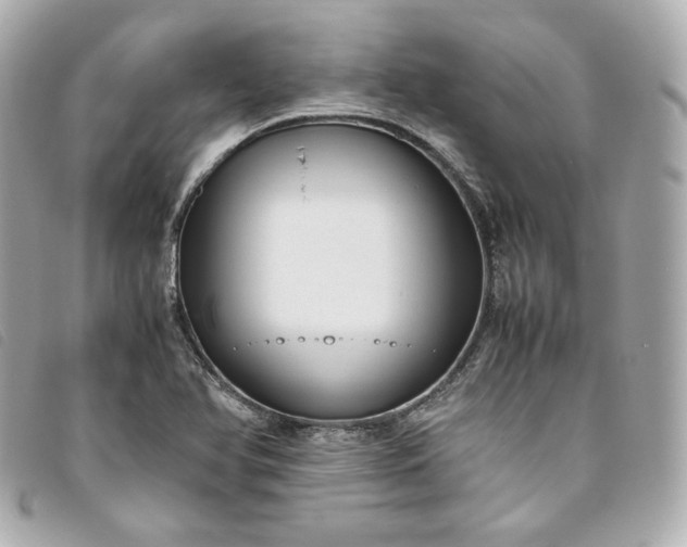 X0000093491366200710261109