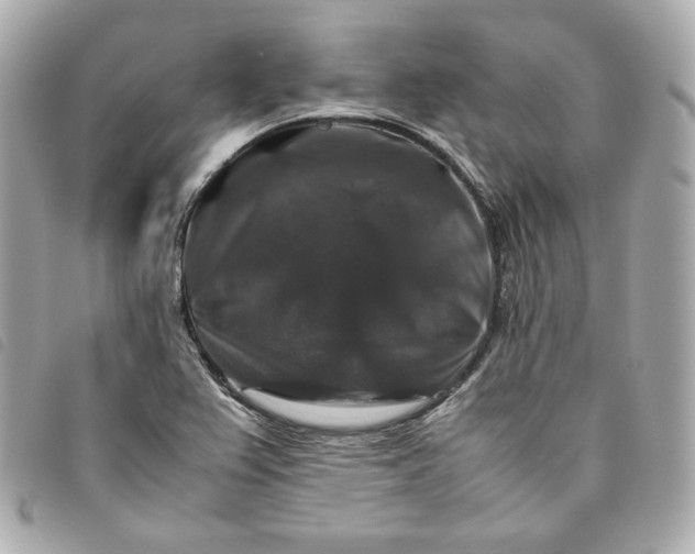 X0000093491367200710261109