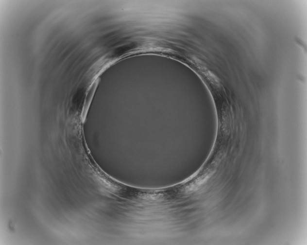 X0000093491369200710261109