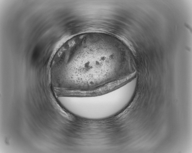 X0000093491371200710261109