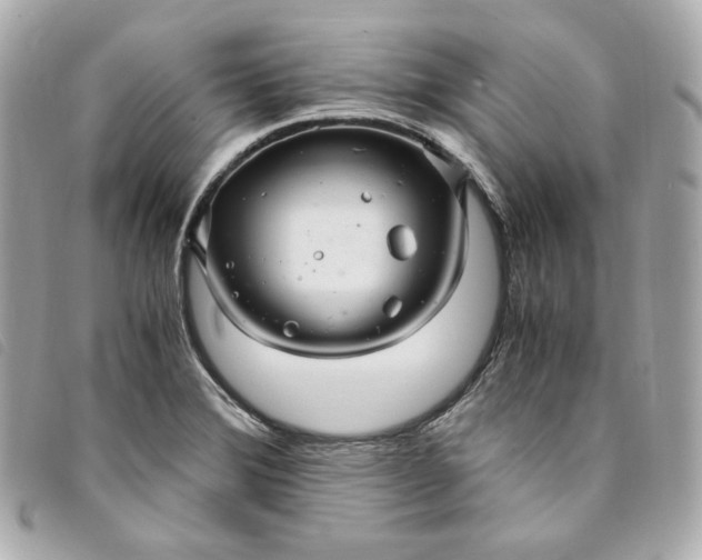 X0000093491372200710261109