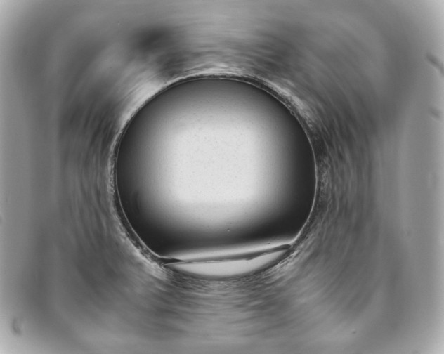 X0000093491375200710261109