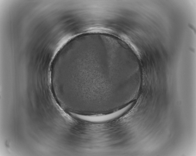 X0000093491376200710261109