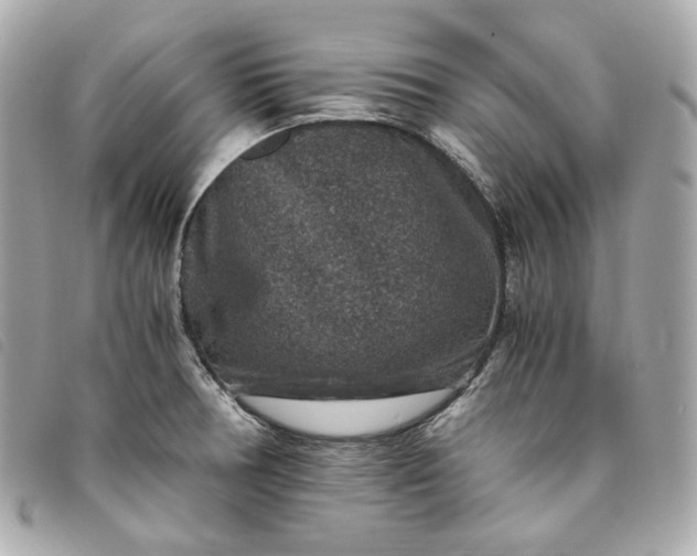 X0000093491378200710261109