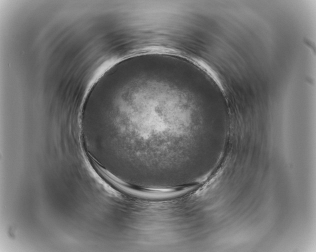 X0000093491381200710261109