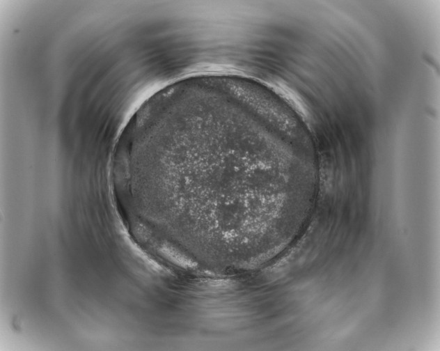 X0000093491382200710261109