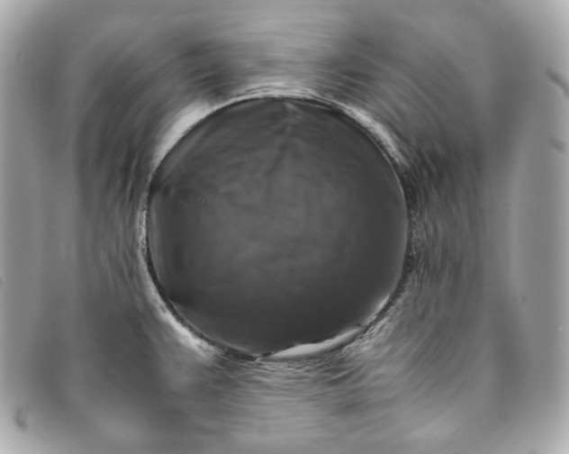 X0000093491383200710261109