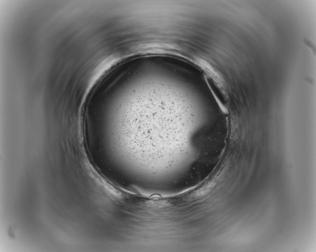 X0000093491384200710261109