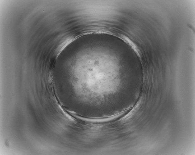 X0000093491385200710261109