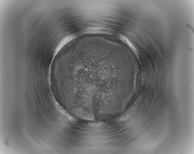 X0000093491386200710261109