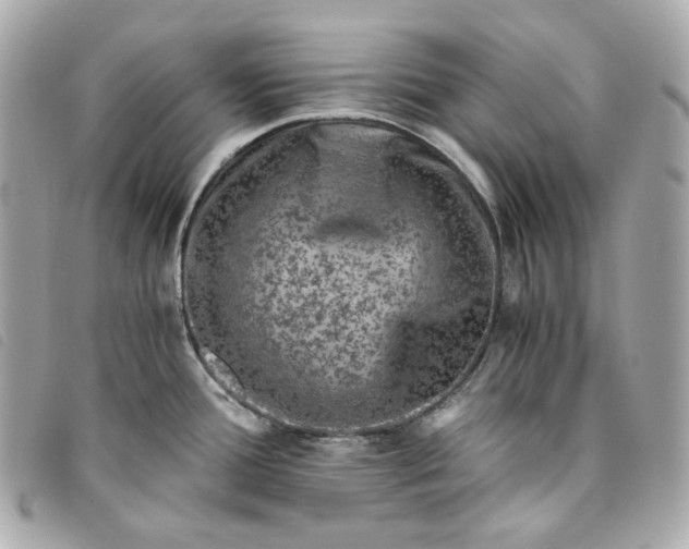 X0000093491388200710261109