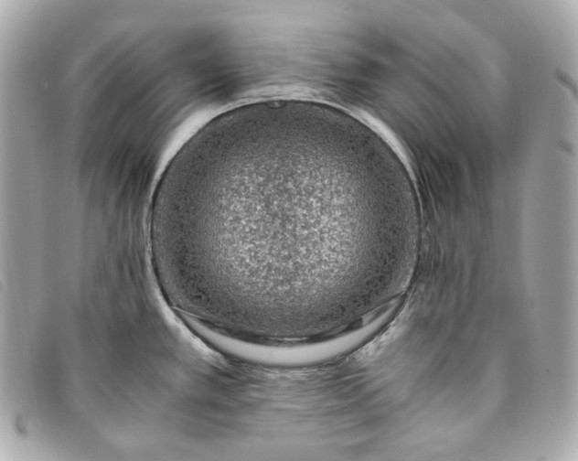 X0000093491389200710261109