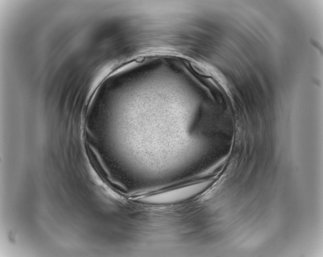 X0000093491390200710261109