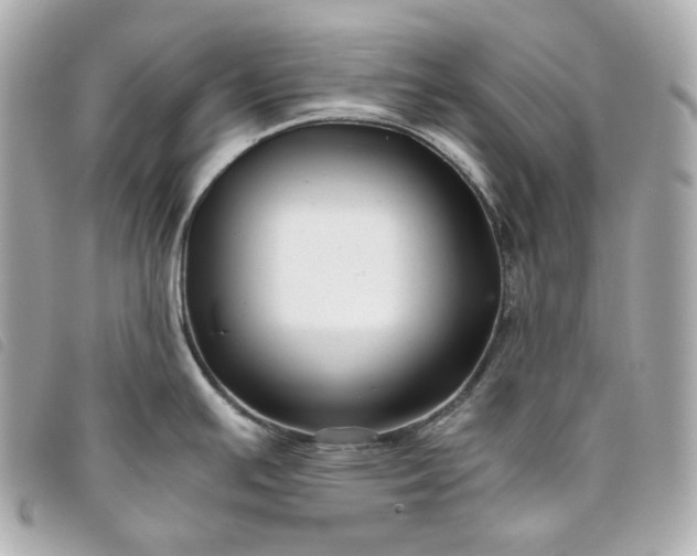 X0000093491391200710261109