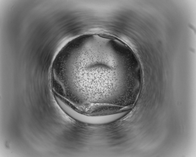 X0000093491392200710261109