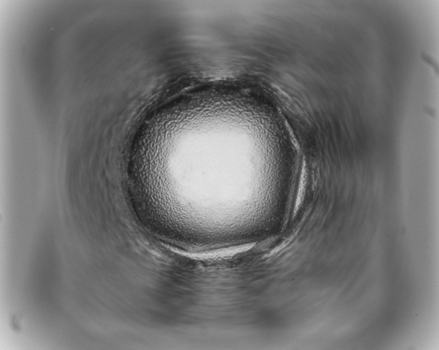 X0000093491393200710261108