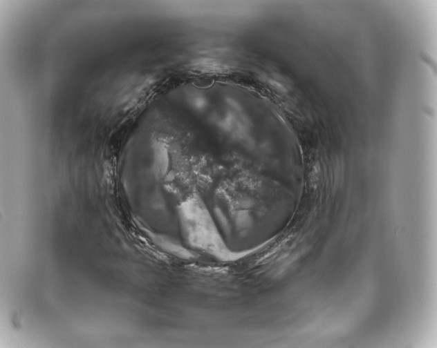 X0000093491397200710261108