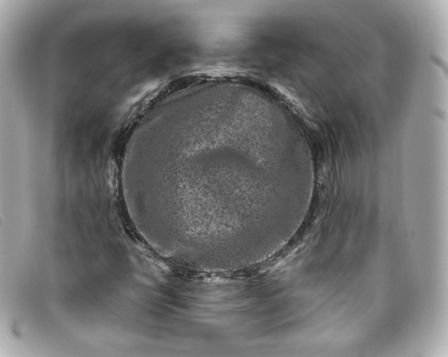 X0000093491398200710261108