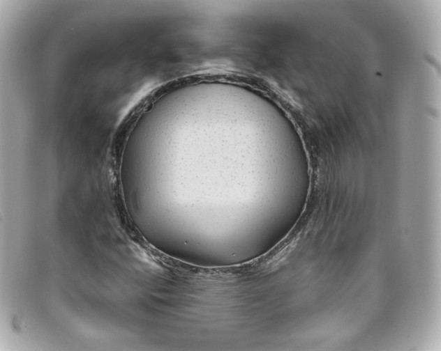 X0000093491400200710261108