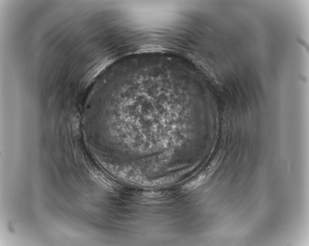 X0000093491401200710261108