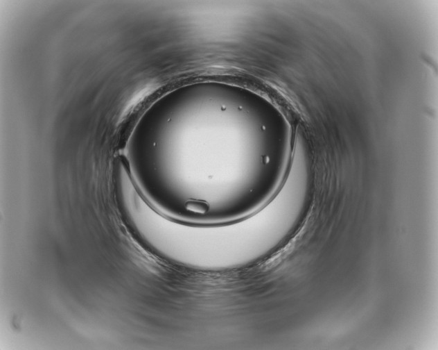 X0000093491402200710261108