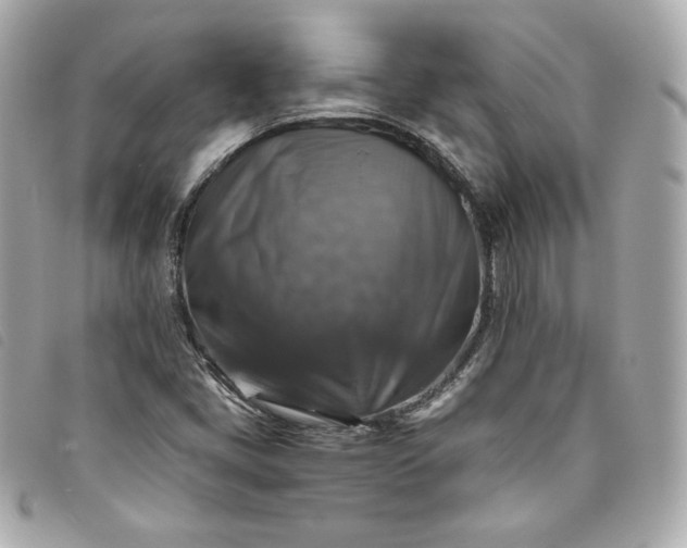 X0000093491405200710261108