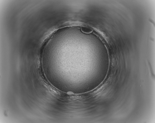 X0000093491407200710261108