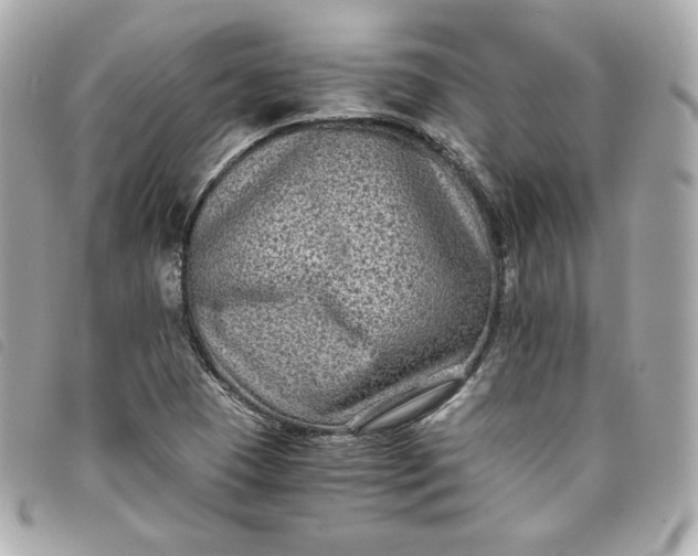 X0000093491409200710261108