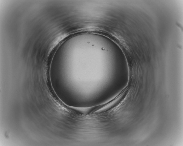 X0000093491410200710261108