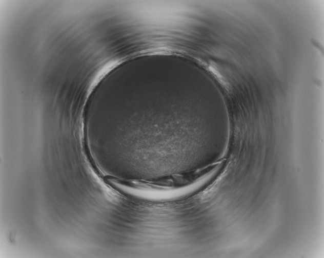 X0000093491418200710261108