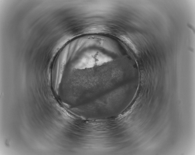 X0000093491419200710261108