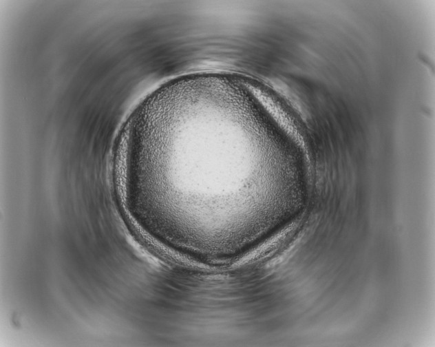 X0000093491421200710261108