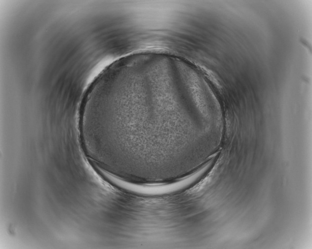 X0000093491422200710261108