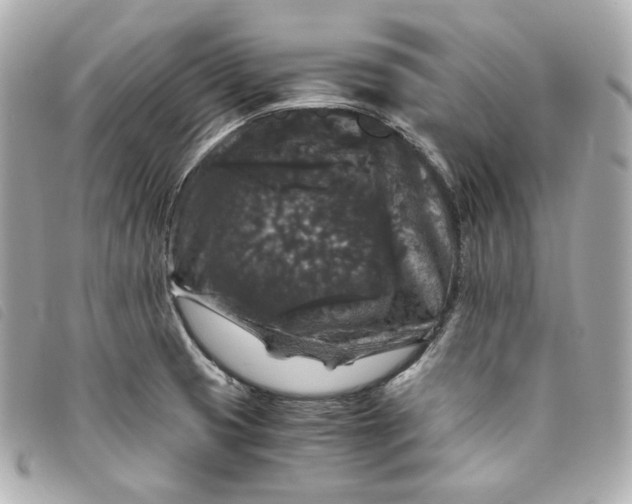 X0000093491425200710261108