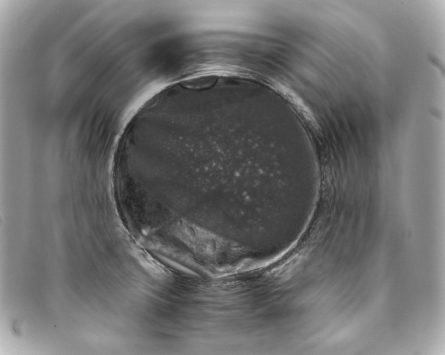 X0000093491427200710261108