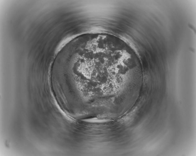 X0000093491429200710261108