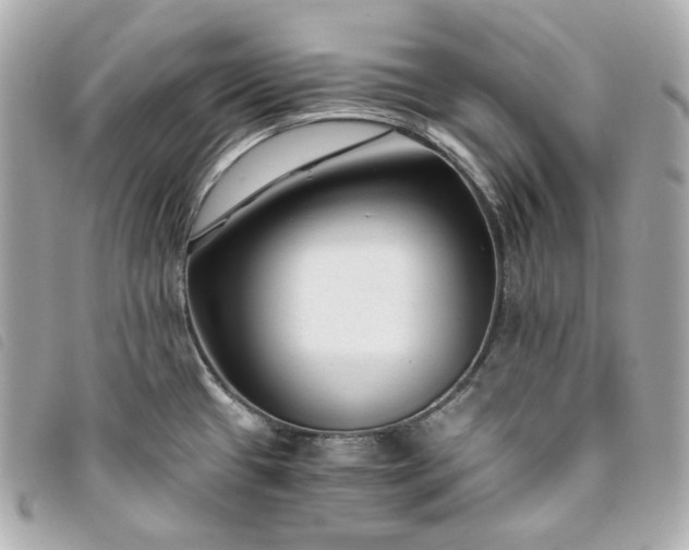 X0000093491433200710261109