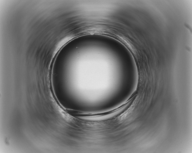 X0000093491434200710261109