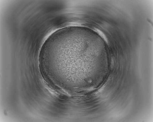 X0000093491435200710261109