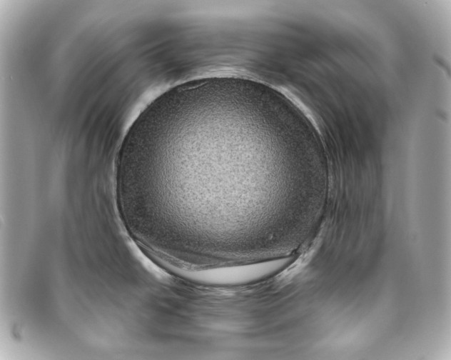 X0000093491438200710261109