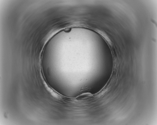 X0000093491439200710261109