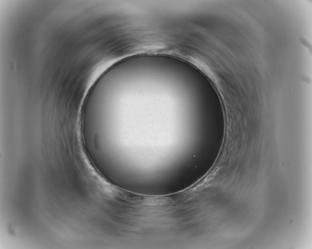 X0000093491440200710261109