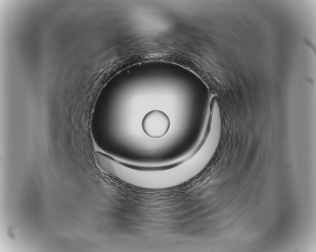 X0000093491441200710261108