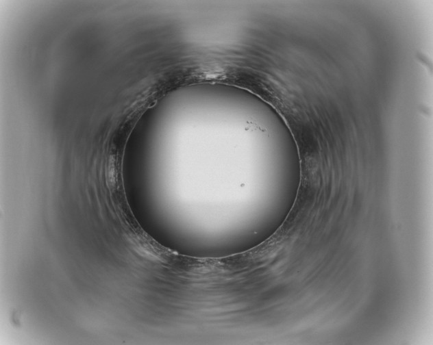 X0000093491442200710261108