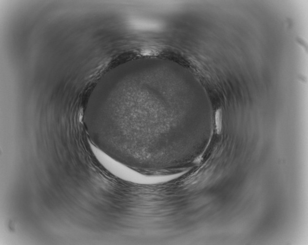 X0000093491443200710261108