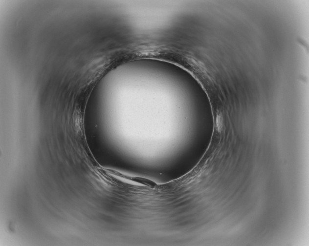 X0000093491444200710261108