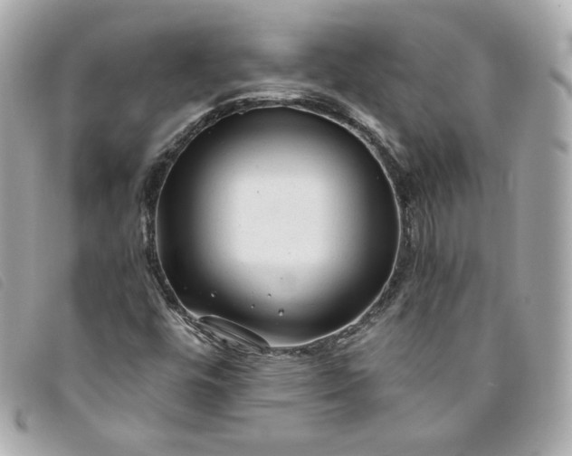 X0000093491448200710261108