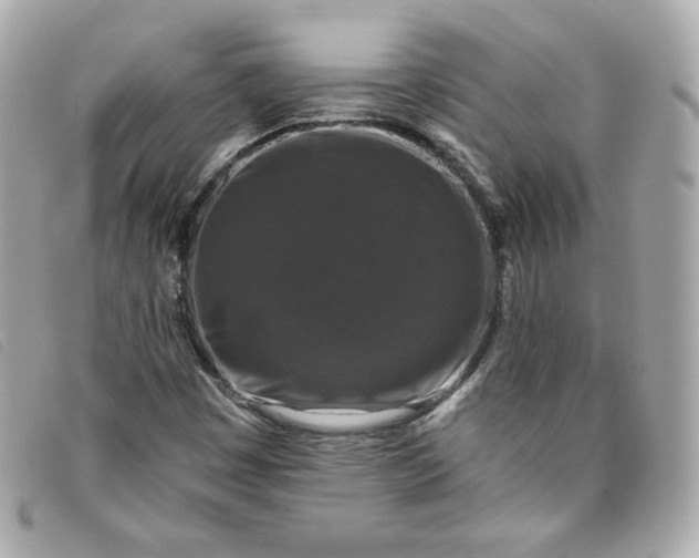 X0000093491449200710261108