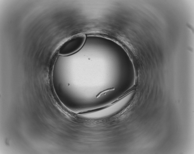 X0000093491452200710261108