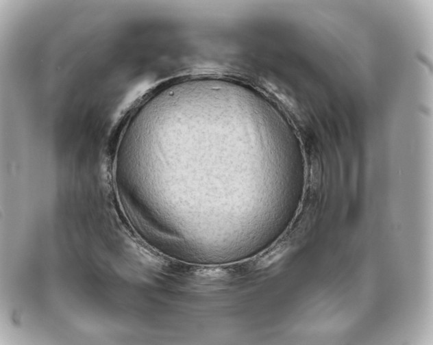 X0000093491454200710261108